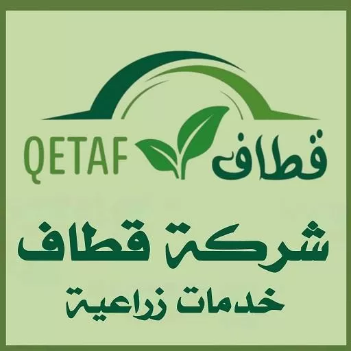 Qetaf Company