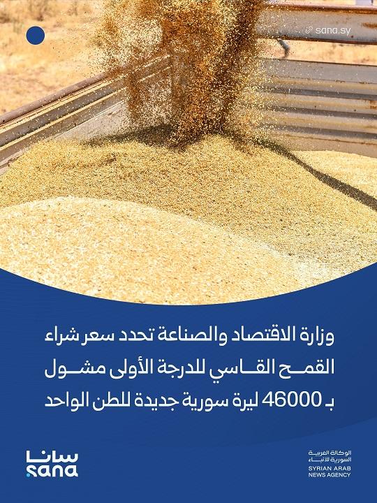 Ministry of Economy and Industry Sets Purchase Price of Hard Wheat at 46,000 New Syrian Pounds per Ton