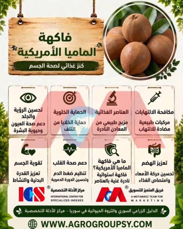 فاكهة الماميا الأمريكية: كنز غذائي استوائي لصحة الجسم والجهاز المناعي