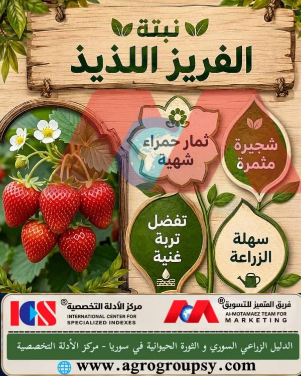 هل تحتل شجرة الكاتوري (ثمار الكاتوري الاستوائية) مكانة بارزة بين الأشجار المثمرة بفضل ثمارها الغنية بالعناصر الغذائية والمركبات الفعالة التي تعزز صحة الإنسان والبيئة؟