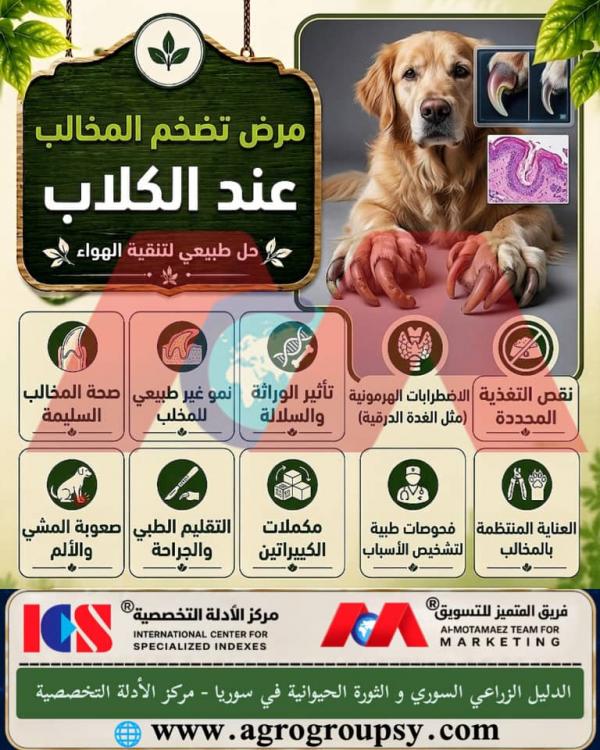 هل يُعد مرض تضخم المخالب عند الكلاب من المشكلات الصحية والجلدية البارزة التي تسبب نمواً غير طبيعي وسماكة مفرطة للمخالب تؤثر على حركة الحيوان الأليف وراحتها؟