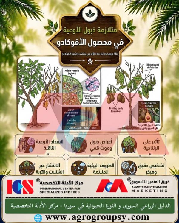 Is Vascular Wilt Syndrome in Avocado Trees a Severe and Destructive Threat Caused by Soil Fungi Such as Fusarium and Verticillium?