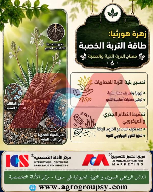 هل تُعد نباتات 