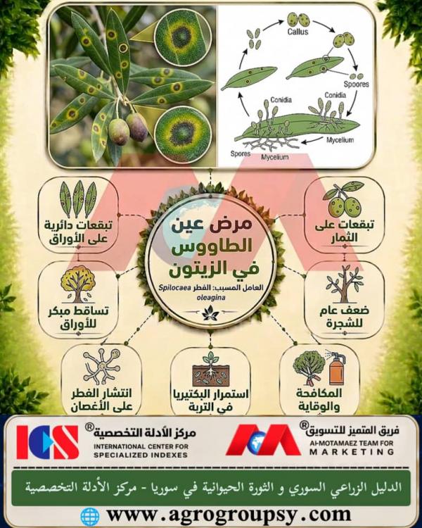 هل يُعد 