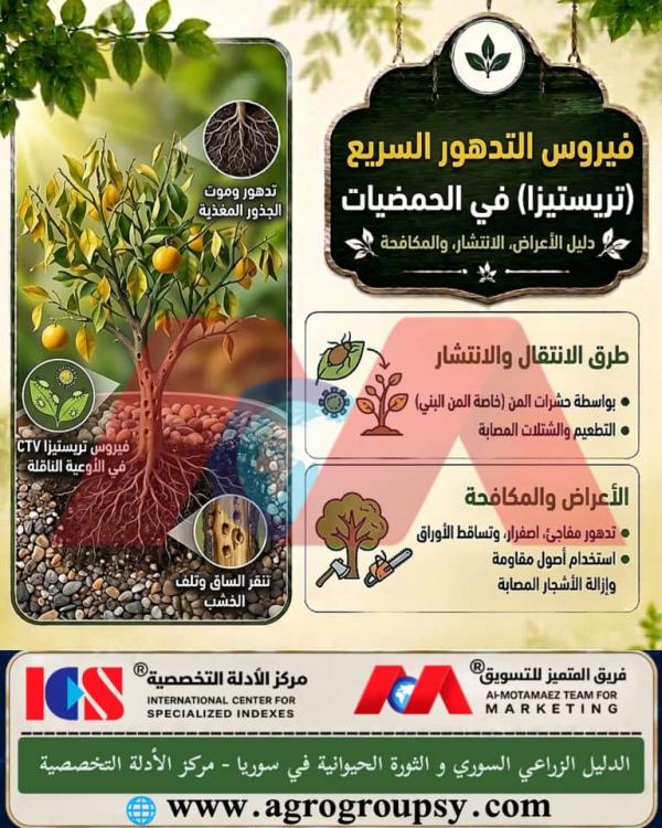 هل يُعد فيروس التدهور السريع أو تريستيزا الحمضيات من أخطر الأمراض الفيروسية التي تهدد البساتين لقدرته التدميرية على القضاء على الأشجار؟