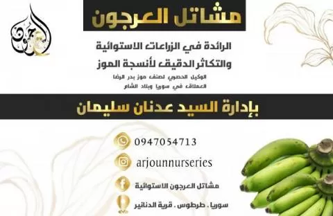 شركة مشاتل العرجون