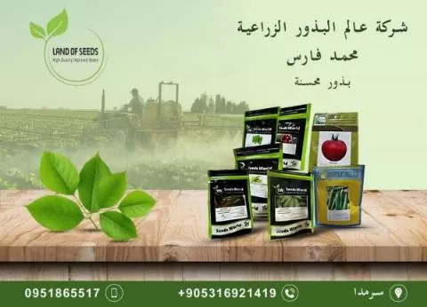 عالم البذور الزراعية 