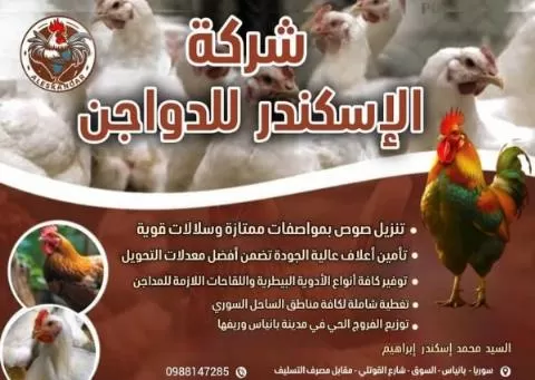Al-Iskandar Poultry Company