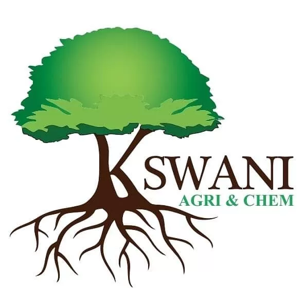 شركة كسواني إخوان 