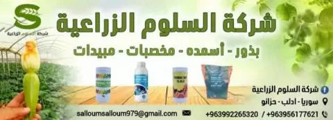 Al-Saloum Agricultural Company