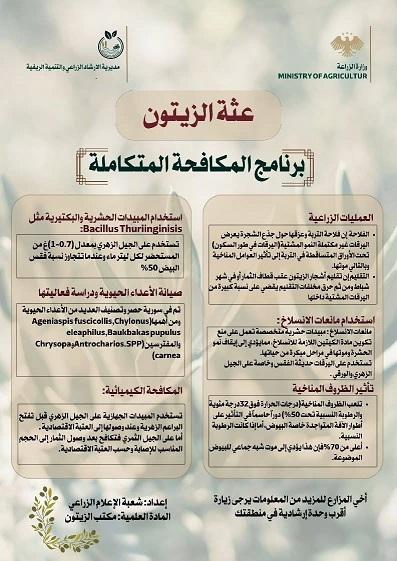دليل المكافحة المتكاملة لعثة الزيتون  طرق حماية المحصول والوقاية الطبيعية والكيميائية