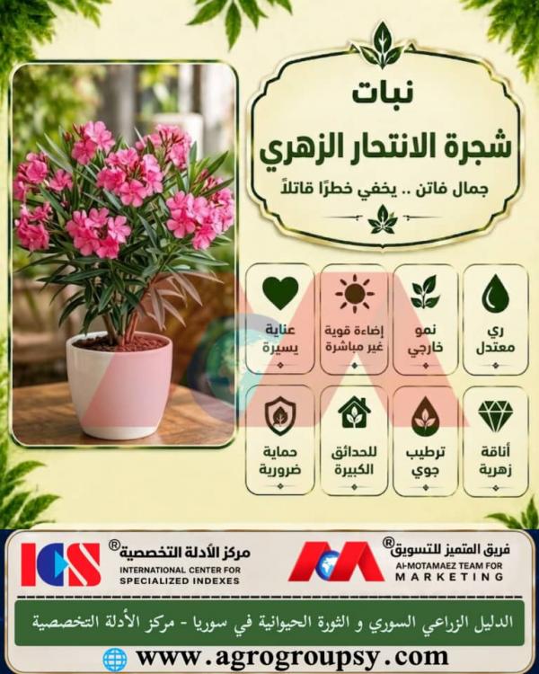 اسرار شجرة الانتحار الزهري: جمال فاتن يخفي خطراً قاتلاً، الخصائص النباتية، واحتياطات السلامة العامة