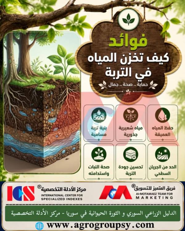 أسرار تخزين المياه في التربة: دورها الحيوي في حماية واستدامة النباتات، حفظ الرطوبة، وكفاءة الموارد المائية