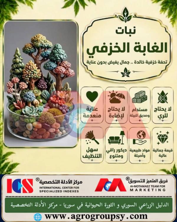 أسرار نبات الغابة الخزفي: تحفة فنية خالدة تعيد صياغة الديكور الطبيعي بدون عناية، الجمال المستدام، وتقليل الإجهاد البصري
