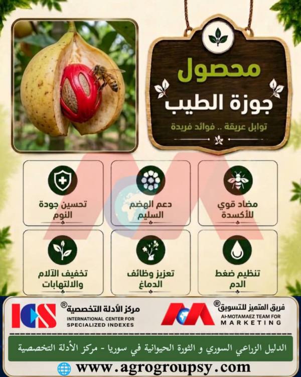 محصول جوزة الطيب: كنز التوابل وفوائد صحية شاملة، المركبات الكيميائية النشطة، ودورها في تعزيز الصحة العامة والهضم