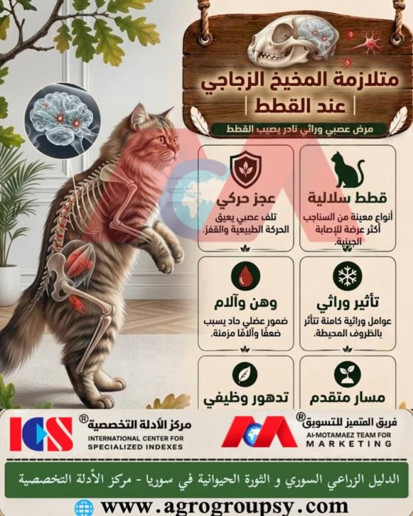 متلازمة المخيخ الزجاجي عند القطط: فهم الاضطراب العصبي الوراثي، الاختلال الحركي، واستراتيجيات التشخيص الجيني والرعاية الداعمة