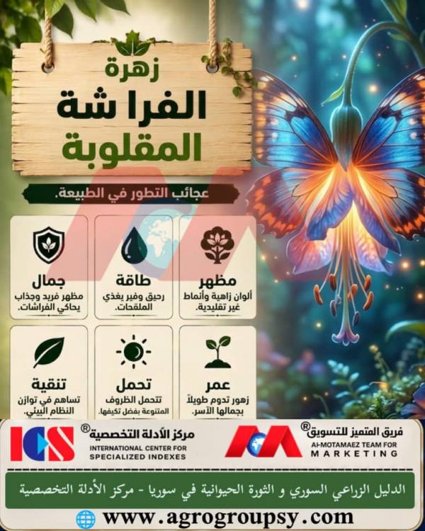 زهرة الفراشة المقلوبة: عجائب التطور في الطبيعة وجمال الخصائص النباتية الفريدة، التكيفات الإيكولوجية، ودورها في استدامة التنوع الحيوي