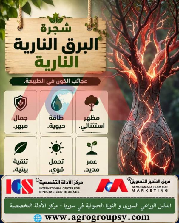 شجرة البرق النارية: عجائب الكون في الطبيعة، الخصائص الاستثنائية النباتية، وأسرار التنمية البيئية المستدامة