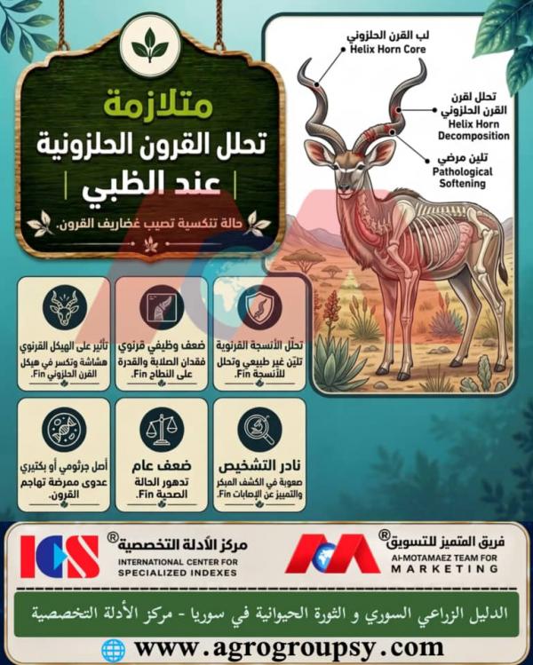 متلازمة تحلل القرون الحلزونية عند الظبي: الحالة التنكسية لغضاريف القرون والتحديات البيطرية البرية