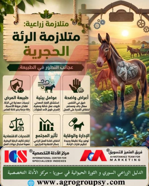 متلازمة الرئة الحجرية في حيوانات العمل: التحديات الصحية التنفسية، الآثار البيئية، وسبل الوقاية الزراعية المستدامة