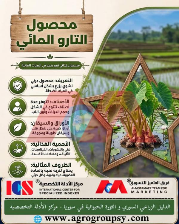 Water Taro Crop: An Exceptional Nutritional Treasure Growing in Aquatic Environments and Promising a Promising Agricultural Future, Botanical Characteristics, and Its Role in Enhancing Food Security and Wetlands