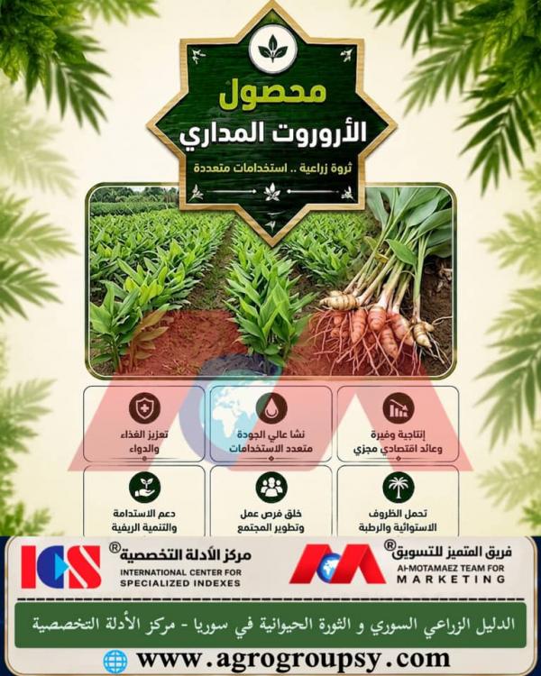 Tropical Arrowroot Crop: An Exceptional Agricultural Wealth and Multiple Uses Enhancing Food Security, Production Characteristics, and Its Role in Supporting Digestive Health