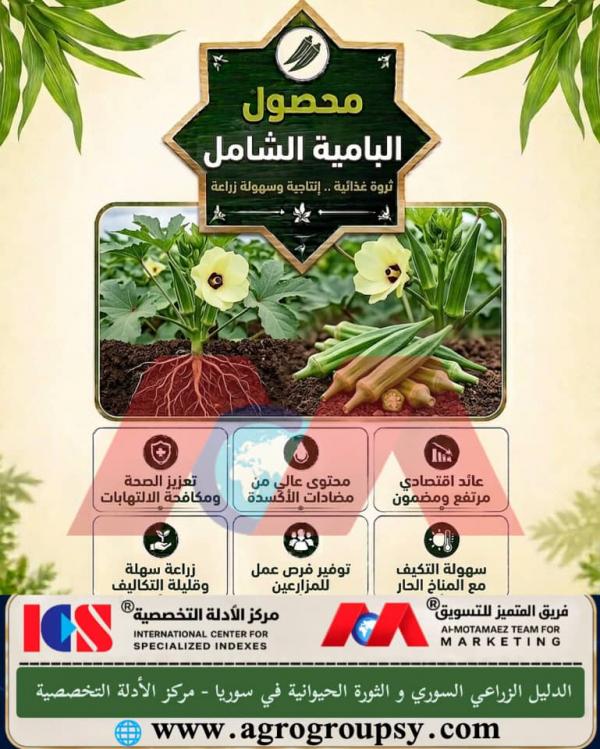 Comprehensive Okra Crop: A Promising Agricultural Investment and Superior Nutritional Value in Syria, Agricultural Characteristics, and Health and Preventive Benefits