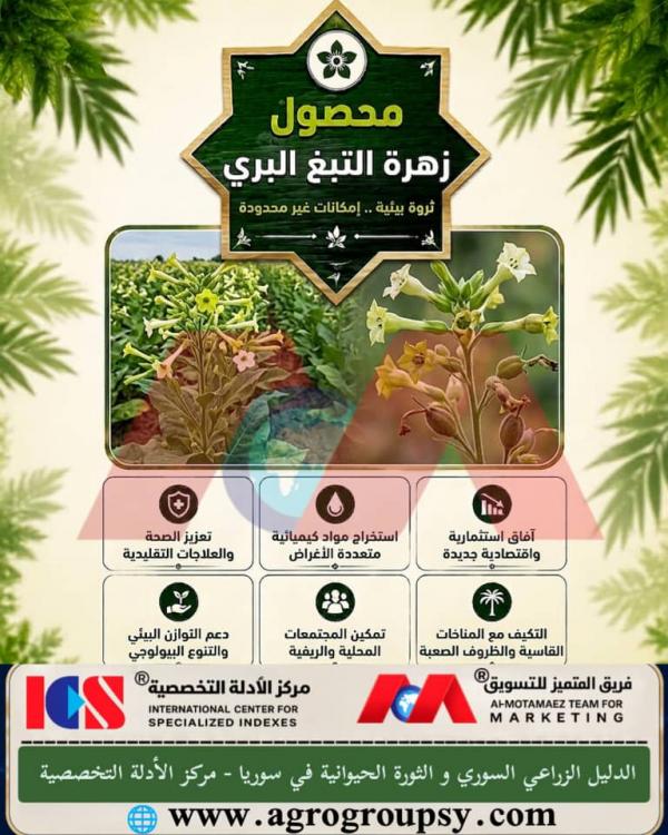Wild Tobacco Flower Crop: A Promising Environmental Wealth and Unlimited Investment Potential, Environmental Characteristics, and Applied Role in Eco-Friendly Industries