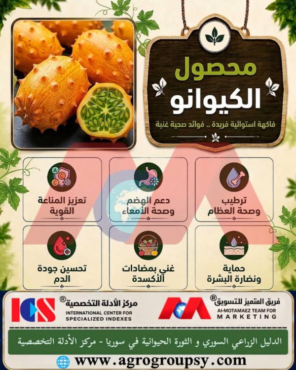 محصول الكيوانو: فاكهة استوائية فريدة وفوائد صحية غنية، الخصائص العلاجية، ودوره البارز في دعم الصحة العامة وتحسين الهضم