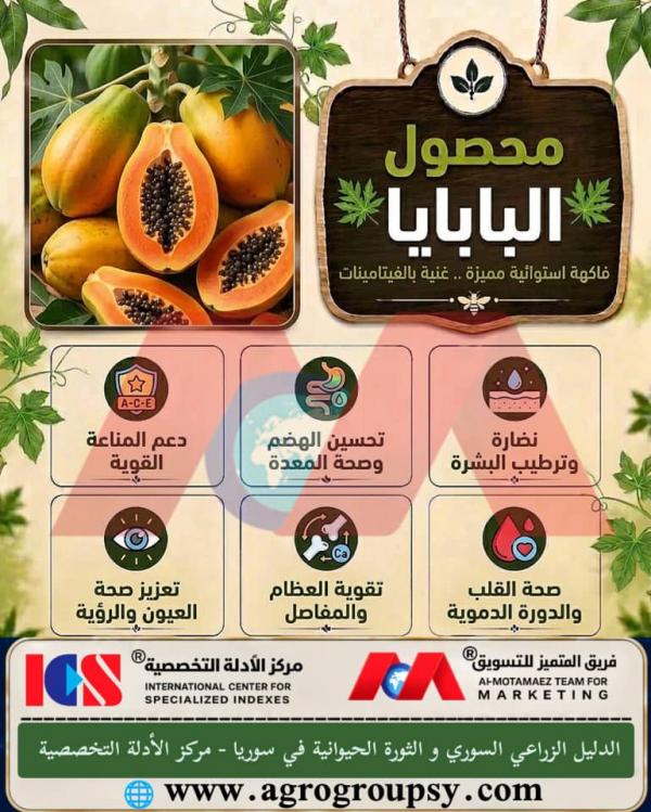 محصول البابايا فاكهة استوائية مميزة وغنية بالفيتامينات: الخصائص الغذائية، إنزيم الباباين، ودورها البارز في دعم الهضم وصحة القلب