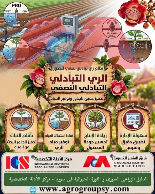 Partial Rootzone Drying: A Smart Technique to Stimulate Growth and Save Agricultural Water, Advanced Water Management, and Its Role in Enhancing Drought Resistance