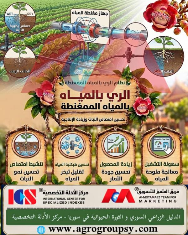 Magnetized Water Irrigation System: An Innovative Technique to Improve Plant Absorption and Increase Productivity, Surface Tension Reduction, and Agricultural Salinity Remediation