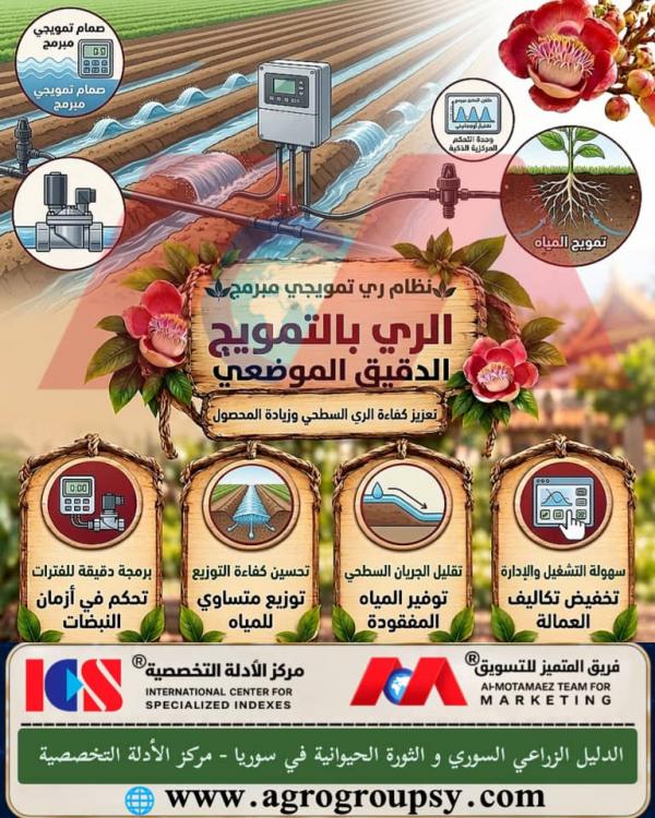 Micro-Surge Targeted Irrigation: Enhancing Surface Irrigation Efficiency and Increasing Yield, Hydro-Engineering Technologies, and Sustainable Water Resource Management