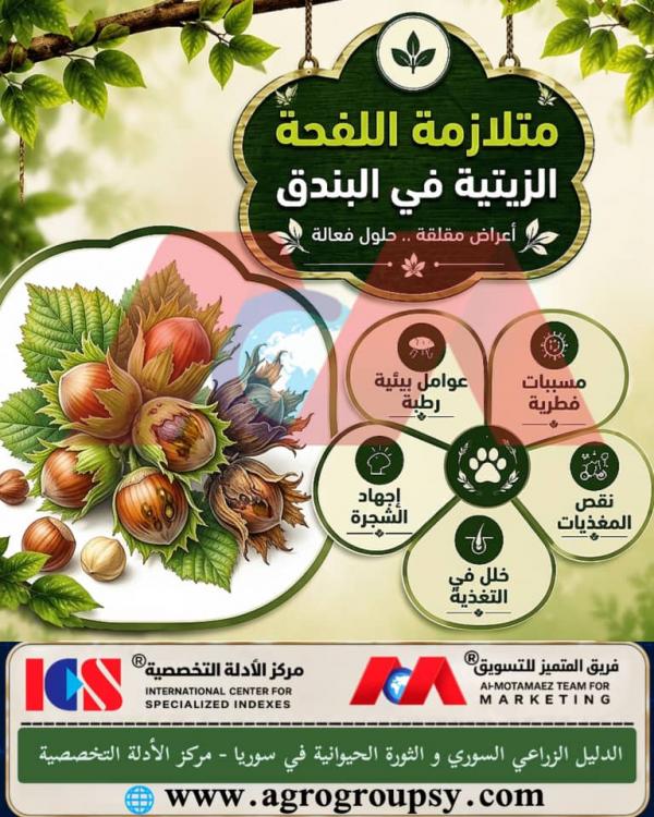 Oily Blight Syndrome in Hazelnuts: Fungal and Environmental Causes, Visible Symptoms, and Integrated Orchard Management Solutions