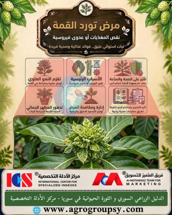 Bunchy Top Disease: Causes Stemming from Boron Deficiency and Viral Infection, Stunting Symptoms, and Integrated Prevention Management Solutions