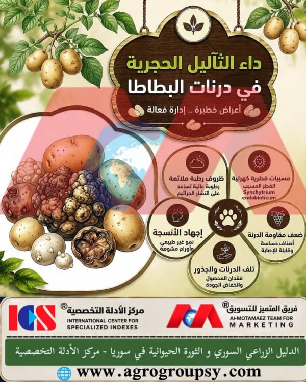 Potato Wart Disease in Potato Tubers: Strategic Risks of Synchytrium endobioticum, Tissue Deformation Mechanisms, and Quarantine and Prevention Strategies
