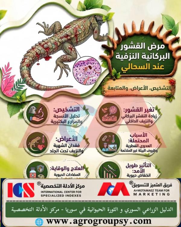 Volcanic Hemorrhagic Scale Disease in Lizards: Precise Veterinary Diagnosis, Fungal and Environmental Causes, and Care and Monitoring Protocols