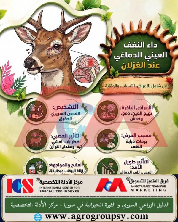 Cerebral Ocular Myiasis in Deer: Neuroparasitic Infections, Disorientation and Blindness Symptoms, and Control and Prevention Protocols