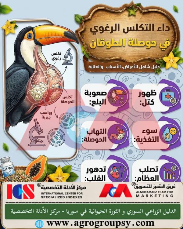 Foamy Calcification Disease in the Toucan Crop: Digestive Disorders and Calcareous Deposits, Dietary Causes, and Veterinary Care Protocols