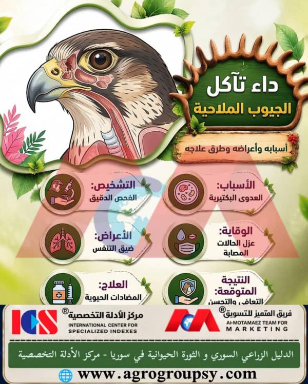 Sinus Erosion Disease in Birds: Respiratory Disorders, Bacterial Infections, and Isolation and Veterinary Treatment Protocols