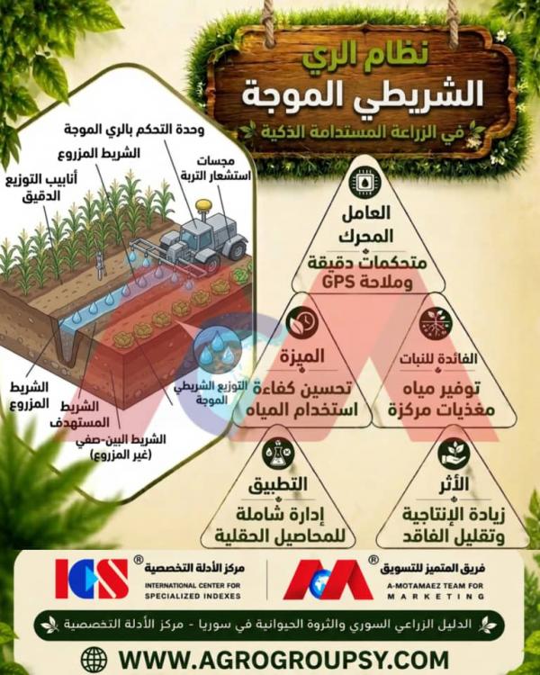 Surge Flow Irrigation in Smart Sustainable Agriculture: A Technological Revolution to Elevate Water and Crop Efficiency