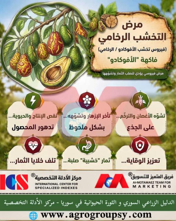 Woody Fruit Disease in Avocados: Agricultural Challenges, Viral Mechanism, and Plant Protection Protocols