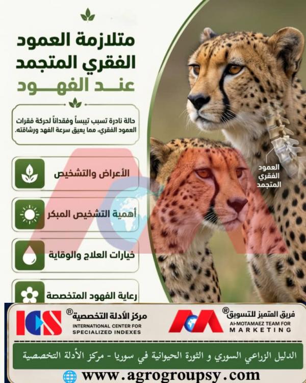 Frozen Spine Syndrome in Cheetahs: Movement Challenges, Pathological Mechanism, and Veterinary Care and Sanctuary Protocols