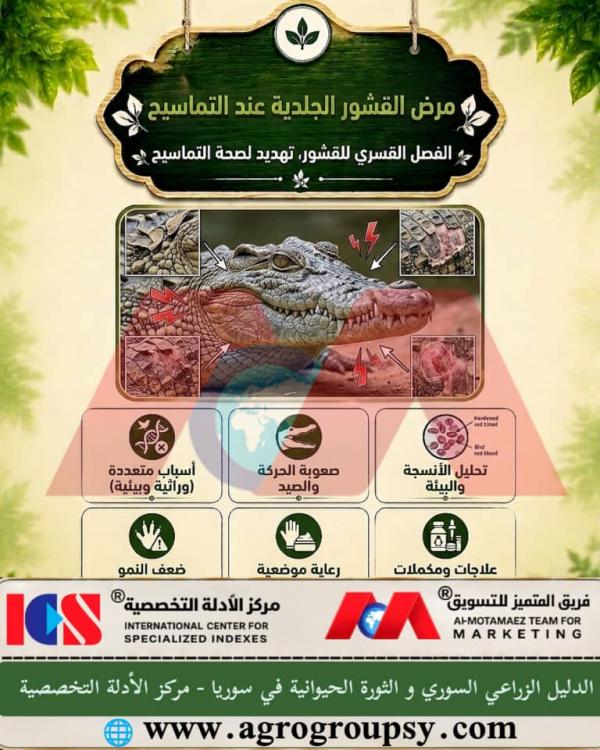 Skin Scale Disease in Crocodiles: Forced Peeling, Environmental Causes, and Veterinary Treatment and Care Protocols