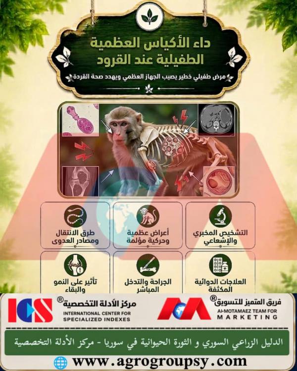 Parasitic Bone Cyst Disease in Monkeys: Infection Pathways, Skeletal and Motor Symptoms, and Veterinary and Surgical Treatment Protocols