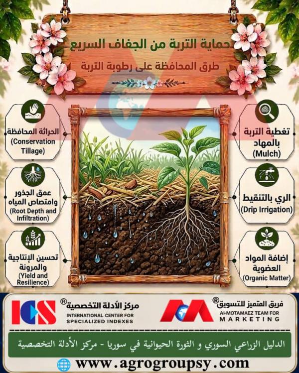 Protecting Soil from Rapid Drought: Modern Methods to Maintain Soil Moisture and Ensure Agricultural Sustainability