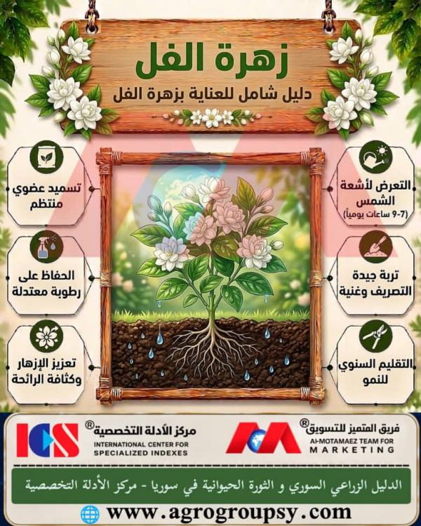 زهرة الفل (جاسمينا سامباك): دليل شامل للعناية، الخصائص الجمالية، وتقنيات التسميد والإضاءة الشمسية