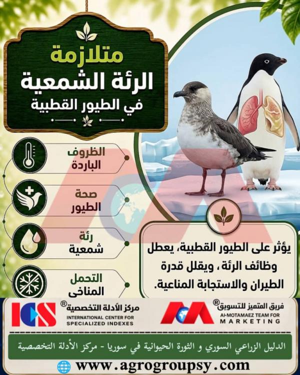 Waxy Lung Syndrome in Polar Birds: Physiological Challenges, Severe Cold Impacts, and Environmental Protection Strategies
