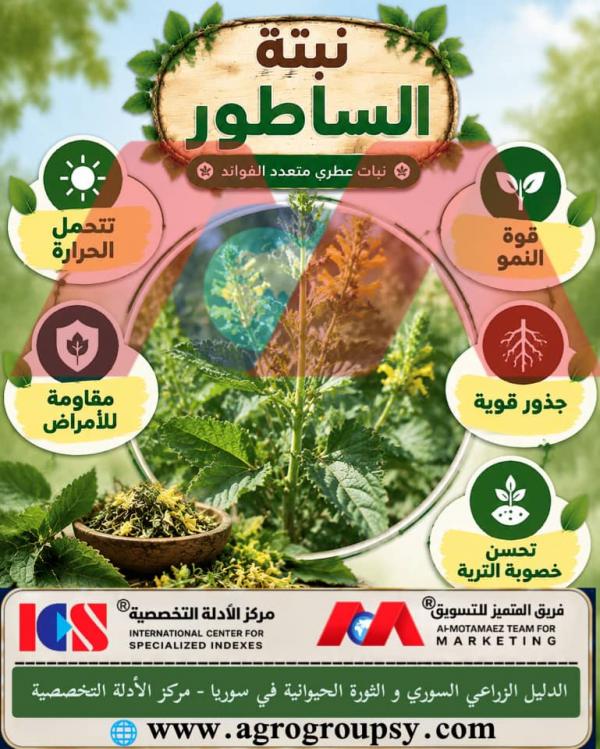 نبتة الساطور: الخصائص الزراعية، الفوائد البيئية، تحسين خصوبة التربة، ودورها في استدامة النظم الإيكولوجية