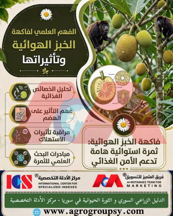 فاكهة الخبز الهوائية: الخصائص الغذائية، التأثيرات الصحية على الهضم، ودورها في تعزيز الأمن الغذائي العالمي